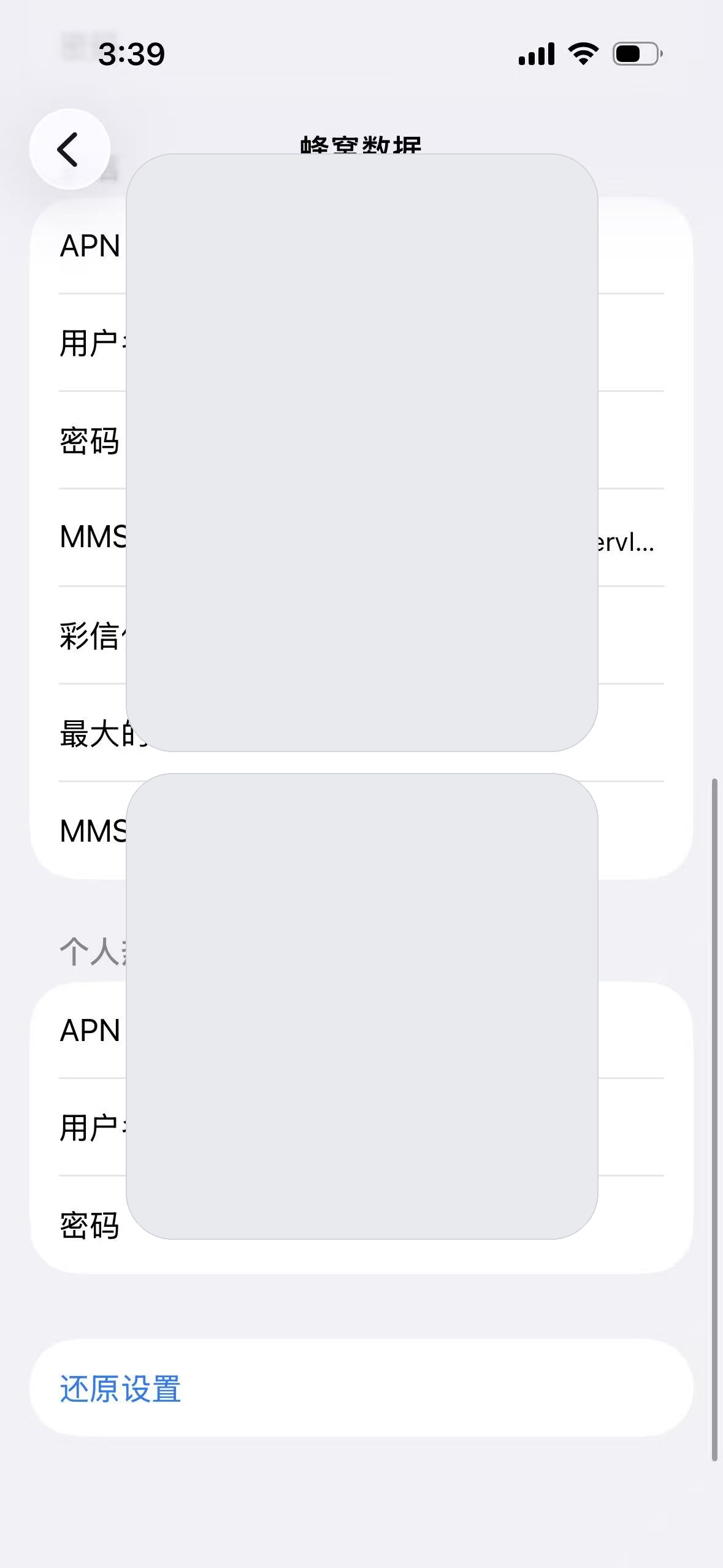 iPhone eSIM APN 配置页面二